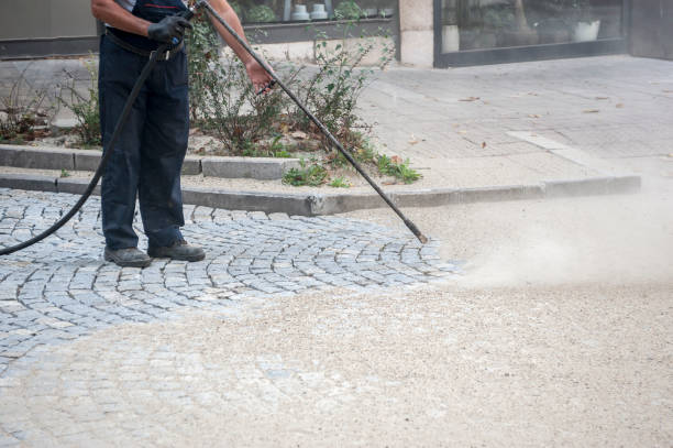 Best Driveway Pressure Washing  in Rocky Top, TN